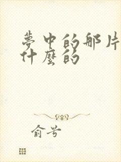 梦中的那片海讲什么的