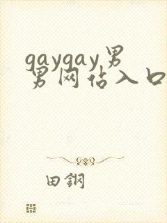 gaygay男男网站入口