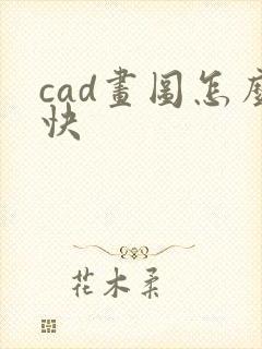 cad画图怎么快封面