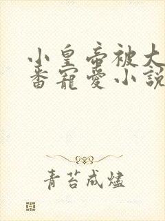 小皇帝被大臣轮番宠爱小说封面