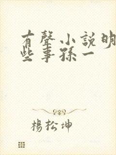 有声小说明朝那些事孙一