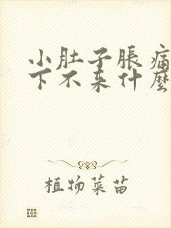 小肚子胀痛月经下不来什么原因