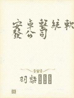 安卓系统软件开发公司