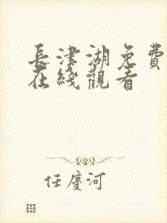 长津湖免费高清在线观看封面