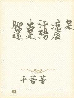 脚出汗凉是阴虚还是阳虚封面