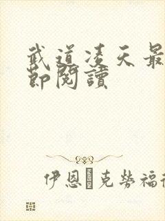 武道凌天最新章节阅读