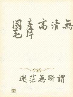 国产高清无遮挡毛片