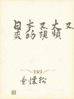 日本又大又黄又爽的视频