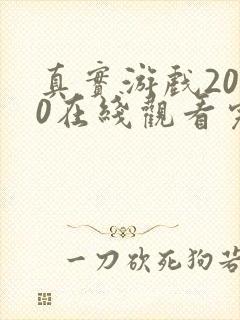 真实游戏2000在线观看完整版封面