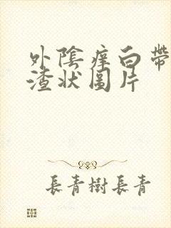 外阴痒白带豆腐渣状图片