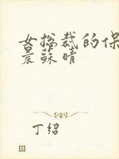 女总裁的保镖萧晨苏晴