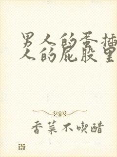 男人的蛋插进女人的屁股里视频