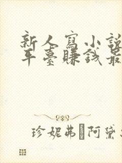 新人写小说哪个平台赚钱最多