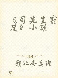 《司先生宠妻无度》小说