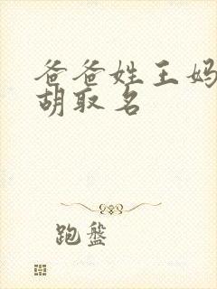 爸爸姓王妈妈姓胡取名封面