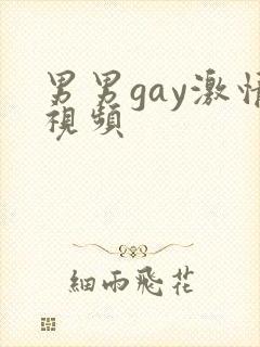 男男gay激情视频