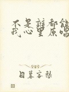 不是谁都能走进我心里原唱歌词