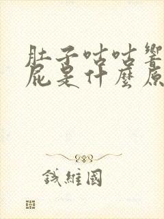 肚子咕咕响老放屁是什么原因