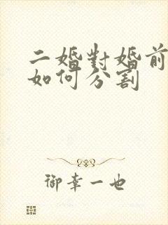 二婚对婚前财产如何分割