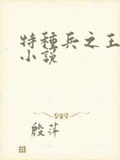 特种兵之王有声小说