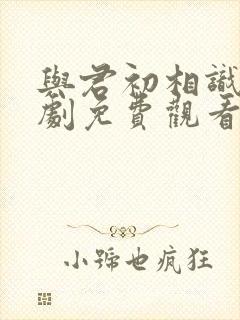 与君初相识电视剧免费观看高清版