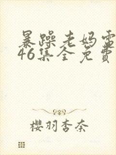 暴躁老妈电视剧46集全免费播放