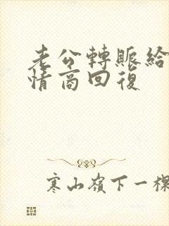 老公转账给我高情商回复