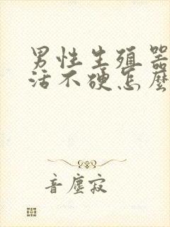 男性生殖器性生活不硬怎么办