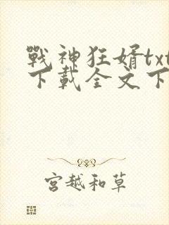 战神狂婿txt下载全文下载
