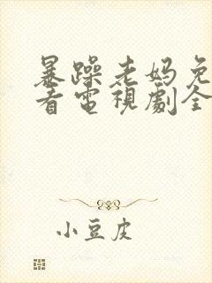 暴躁老妈免费观看电视剧全集