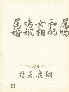 属鸡女和属鼠的婚姻相配吗