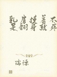 乳房摸着不疼但是翻身就疼封面