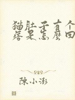 猫肚子有个大疙瘩是怎么回事