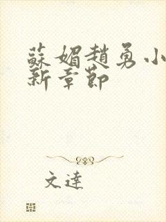 苏媚赵勇小说最新章节