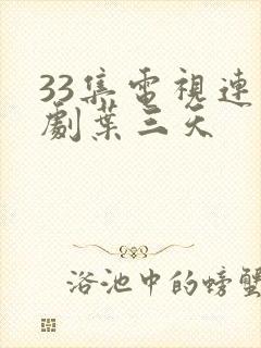 33集电视连续剧叶三天