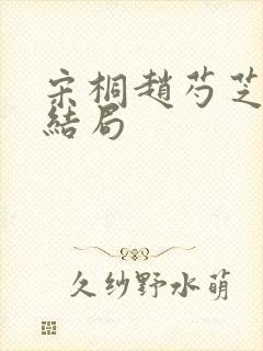 宋桐赵芍芝番外结局