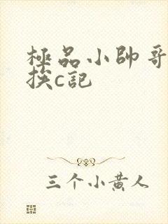 极品小帅哥连环挨c记