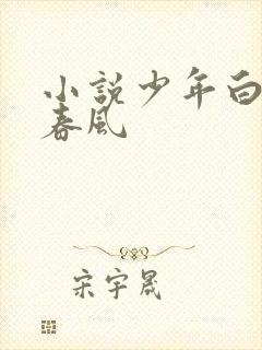 小说少年白马醉春风