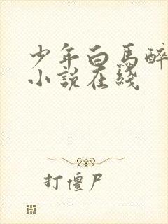 少年白马醉春风小说在线封面