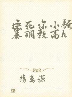 操死你小骚货粗暴调教高h