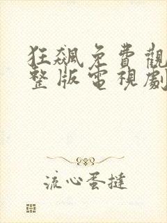 狂飙免费观看完整版电视剧40集