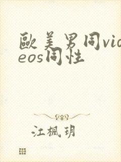 欧美男同videos同性封面