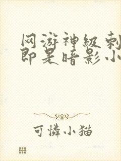 网游神级刺客我即是暗影小说