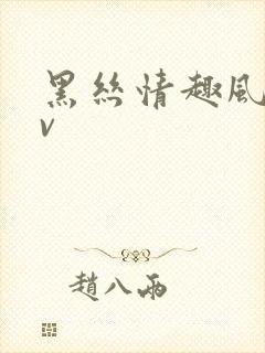 黑丝情趣风骚av