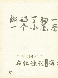 断奶了胸一个大一个小怎么办封面