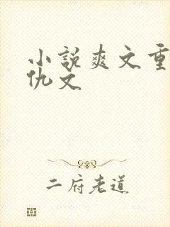 小说爽文重生复仇文封面
