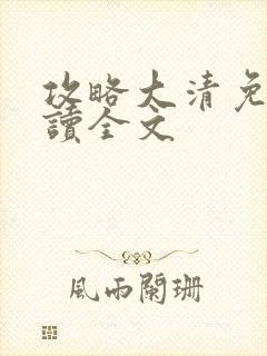 攻略大清免费阅读全文