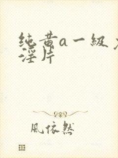 纯黄a一级免费淫片