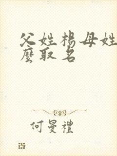 父姓杨母姓陈怎么取名