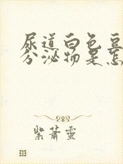 尿道白色豆腐渣分泌物是怎么回事